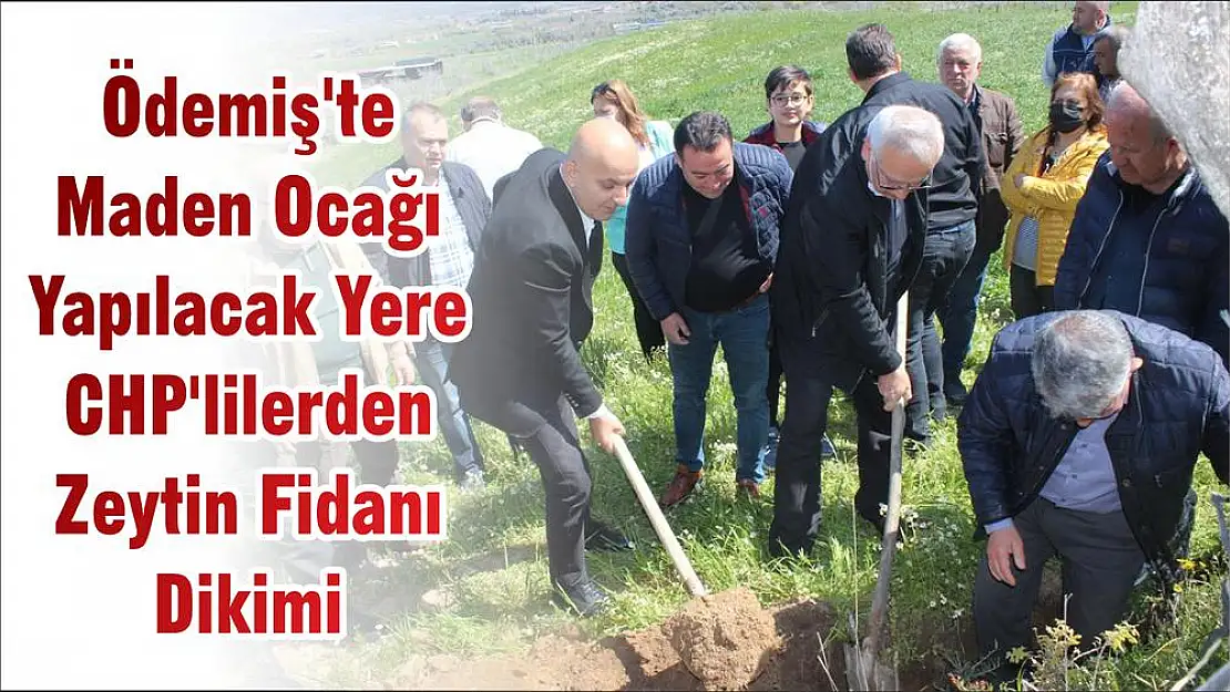 Ödemiş'te Maden Ocağı Yapılacak Yere CHP'lilerden Zeytin Fidanı Dikimi