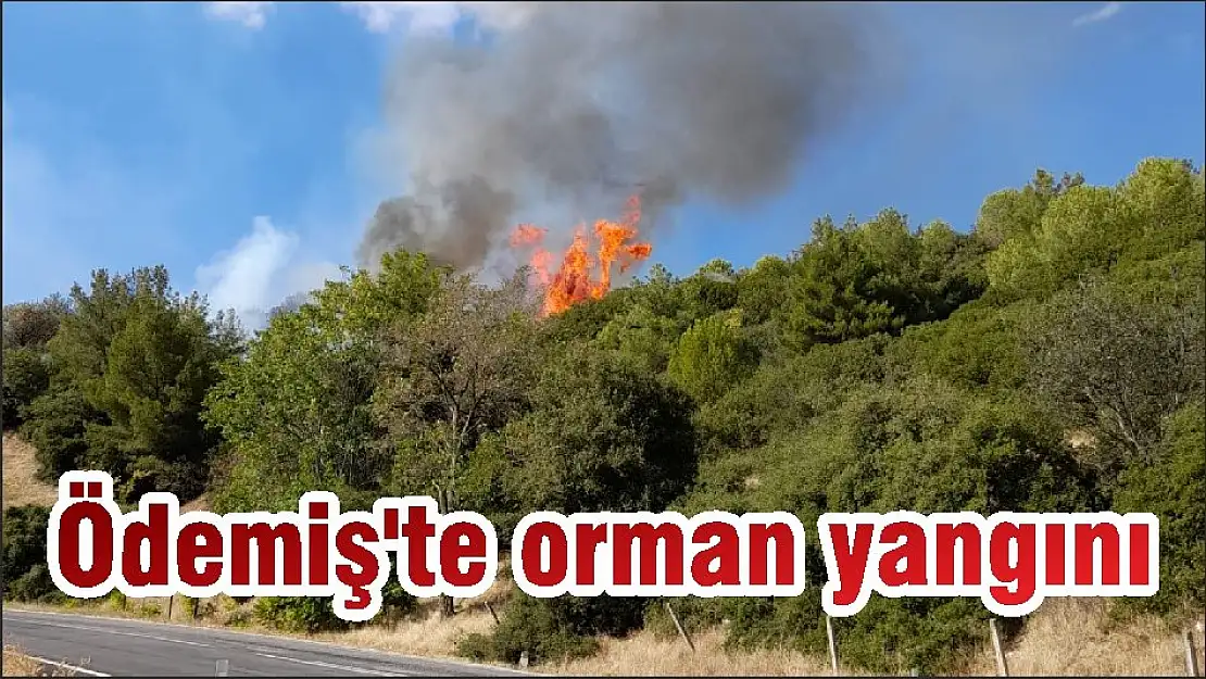 Ödemiş'te orman yangını