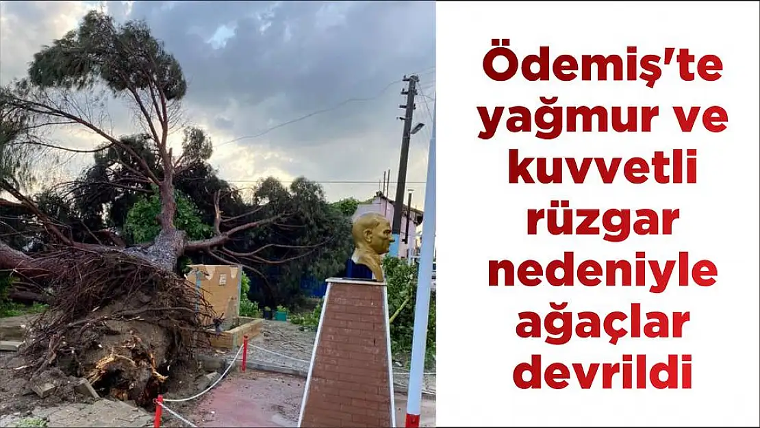 Ödemiş’te yağmur ve kuvvetli rüzgar nedeniyle ağaçlar devrildi