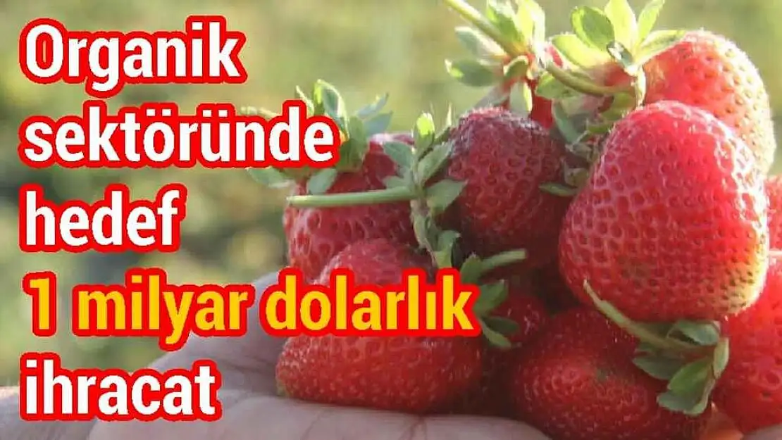 Organik sektöründe hedef 1 milyar dolarlık ihracat