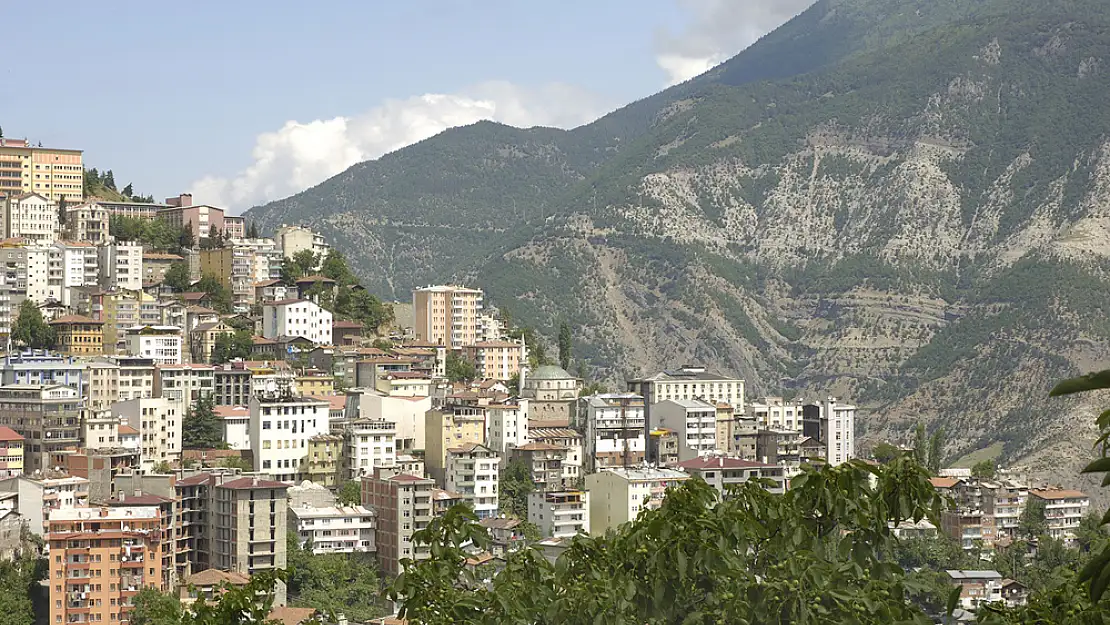 Organize suç örgütü üyesi kaçarken yakalandı