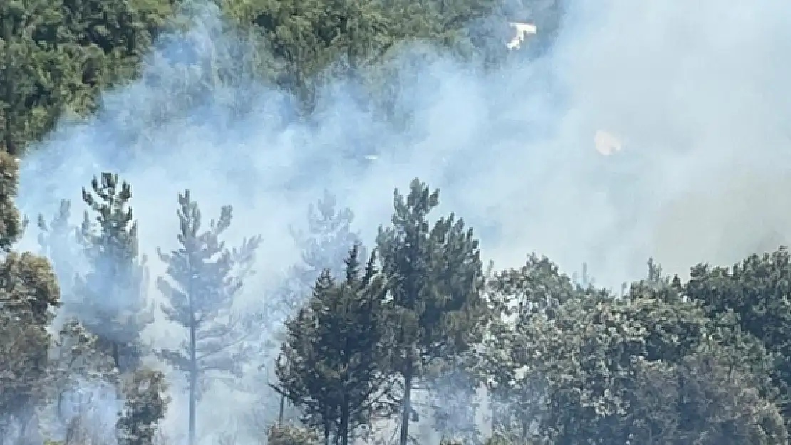 Osmaniye ve Kahramanmaraş’ta orman yangını