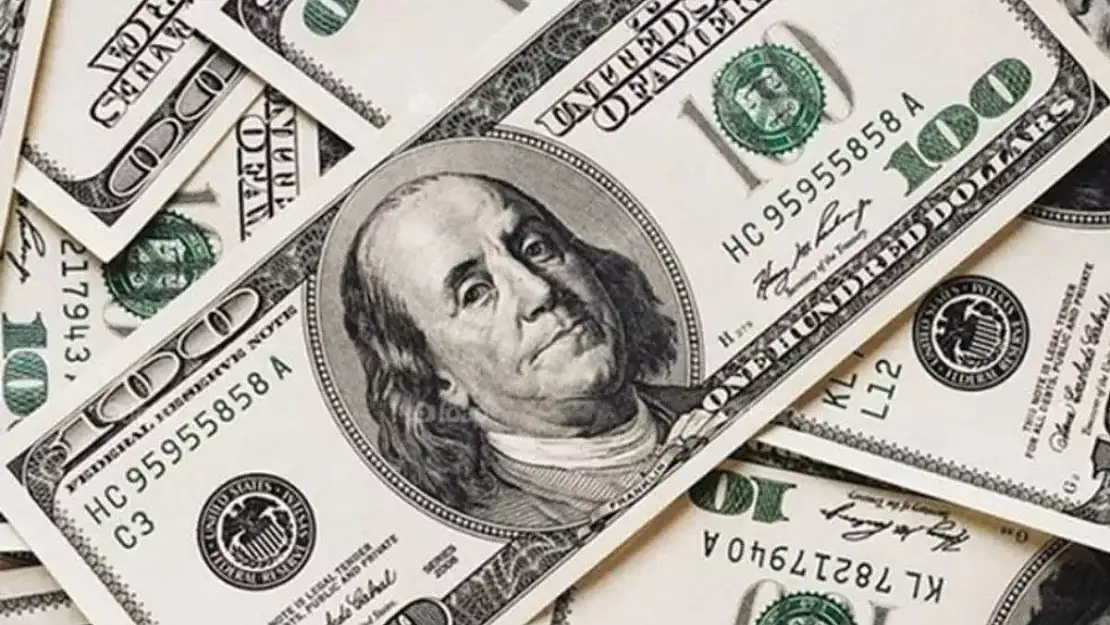 Prof. Dr. Babuşçu: Merkez Bankası’nın kararı dövizin yastık altına gitmesine neden oluyor
