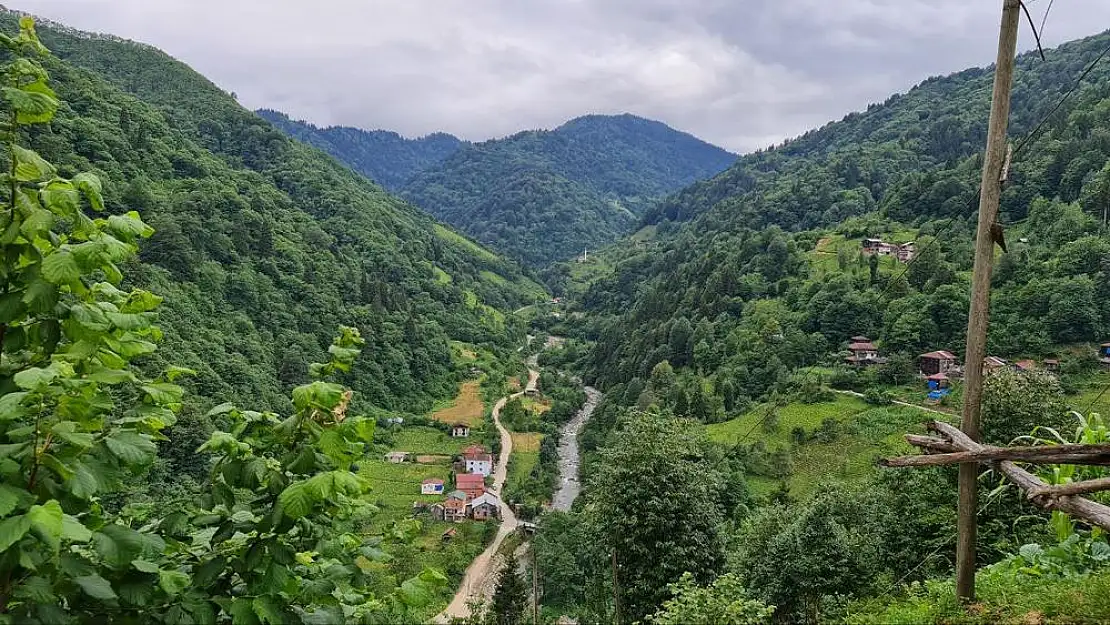 Rize’de vatandaşlar, imar planına karşı ayaklandı