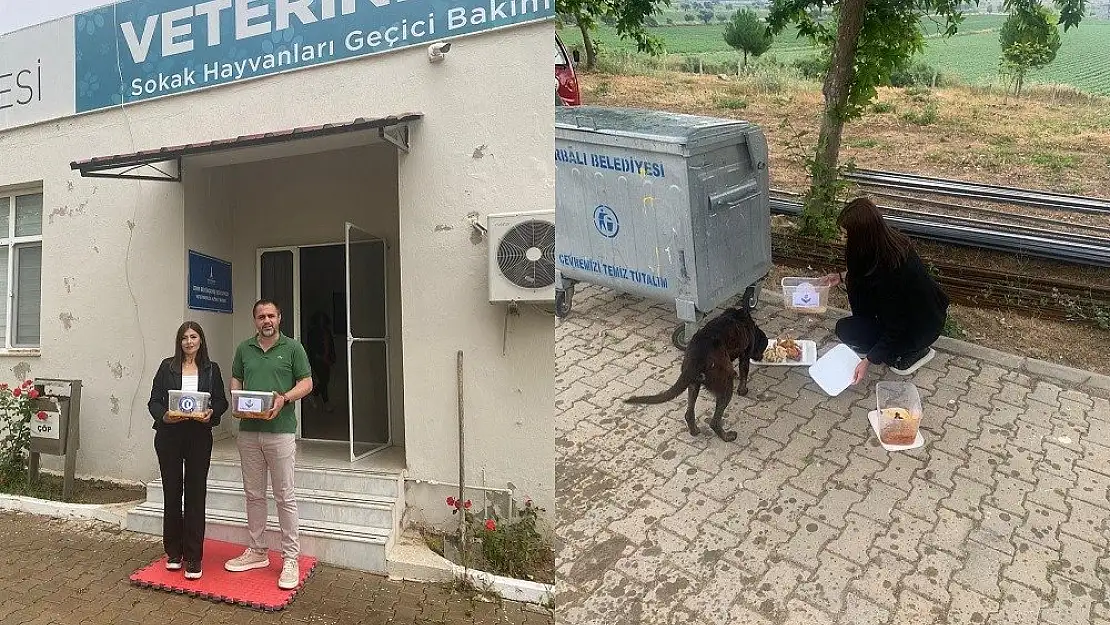 'Sağlığını Koru Patili Dostlarımızı Doyur' projesi