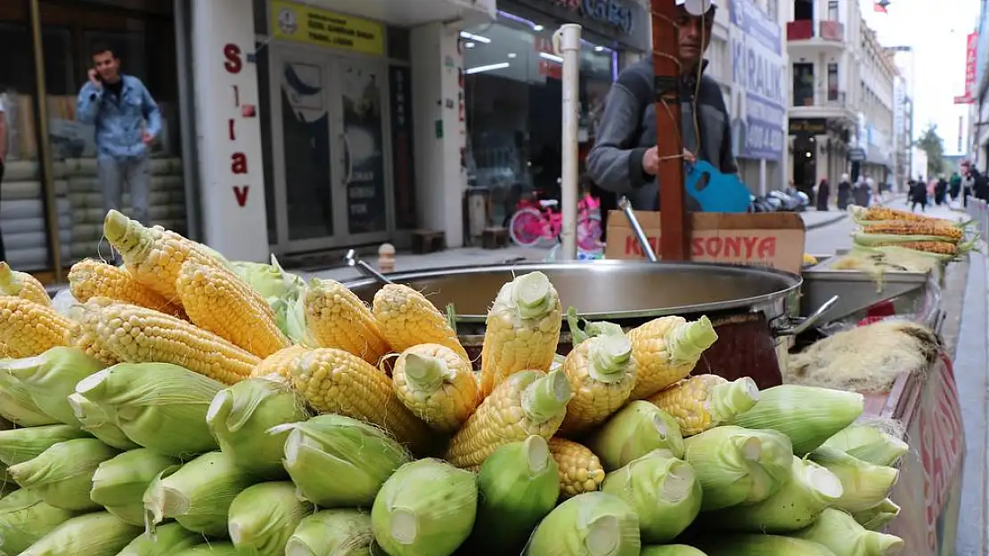 Samsun’da süt mısırlar tezgahta