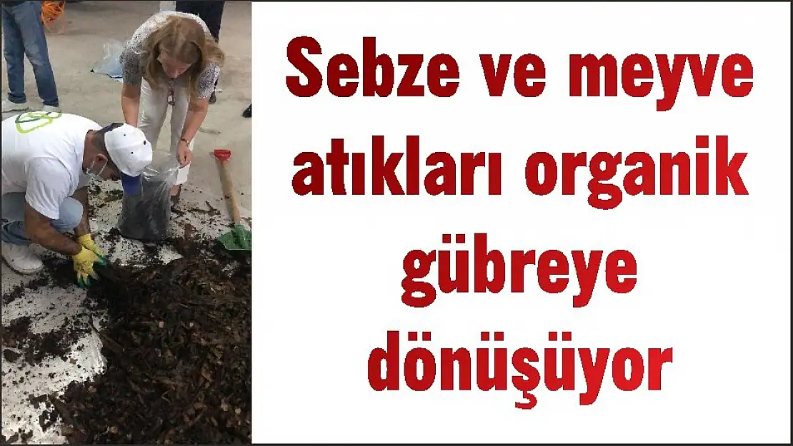 Sebze ve meyve atıkları organik gübreye dönüşüyor