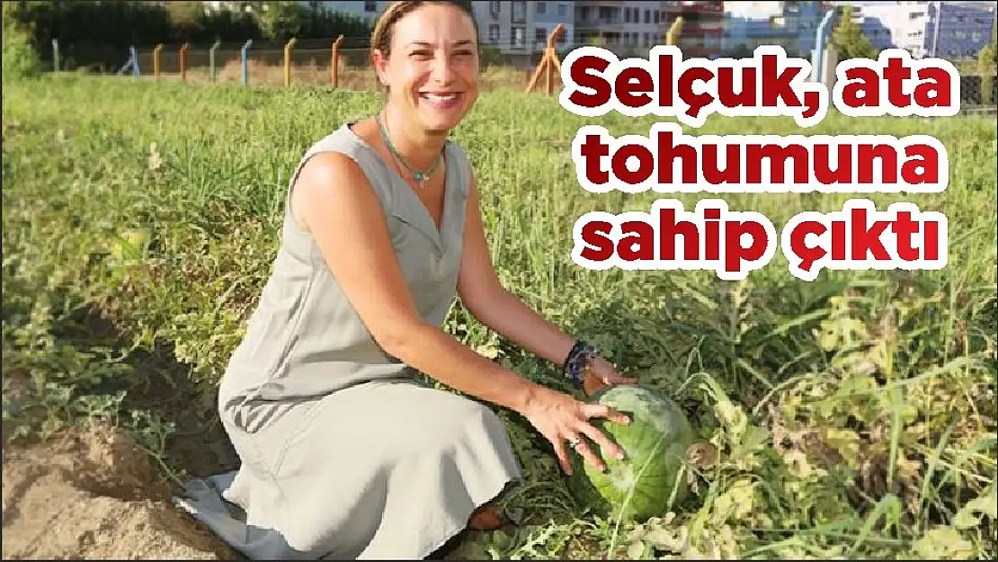 Selçuk, ata tohumuna sahip çıktı