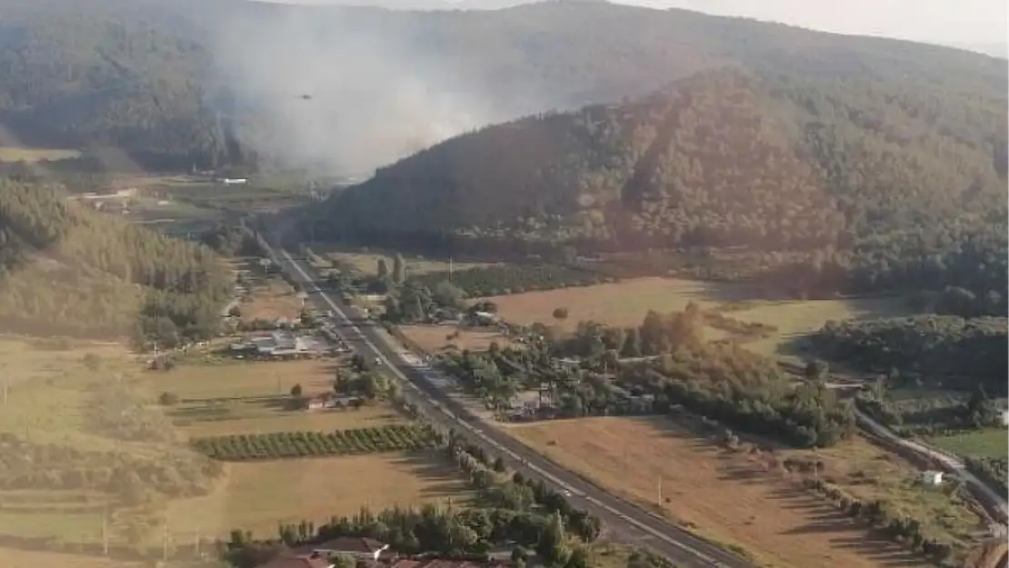 Selçuk ilçesinde çıkan orman yangınıyla mücadele ediliyor.