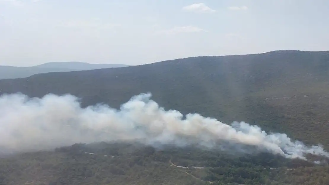 Selçuk’ta başlayan orman yangını kısa sürede kontrol altına alındı