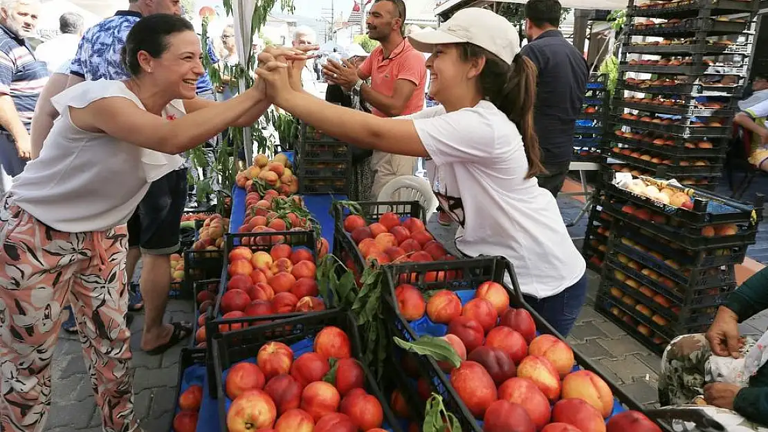 Selçuk'ta Şen Şeftali Şenliği yapılacak