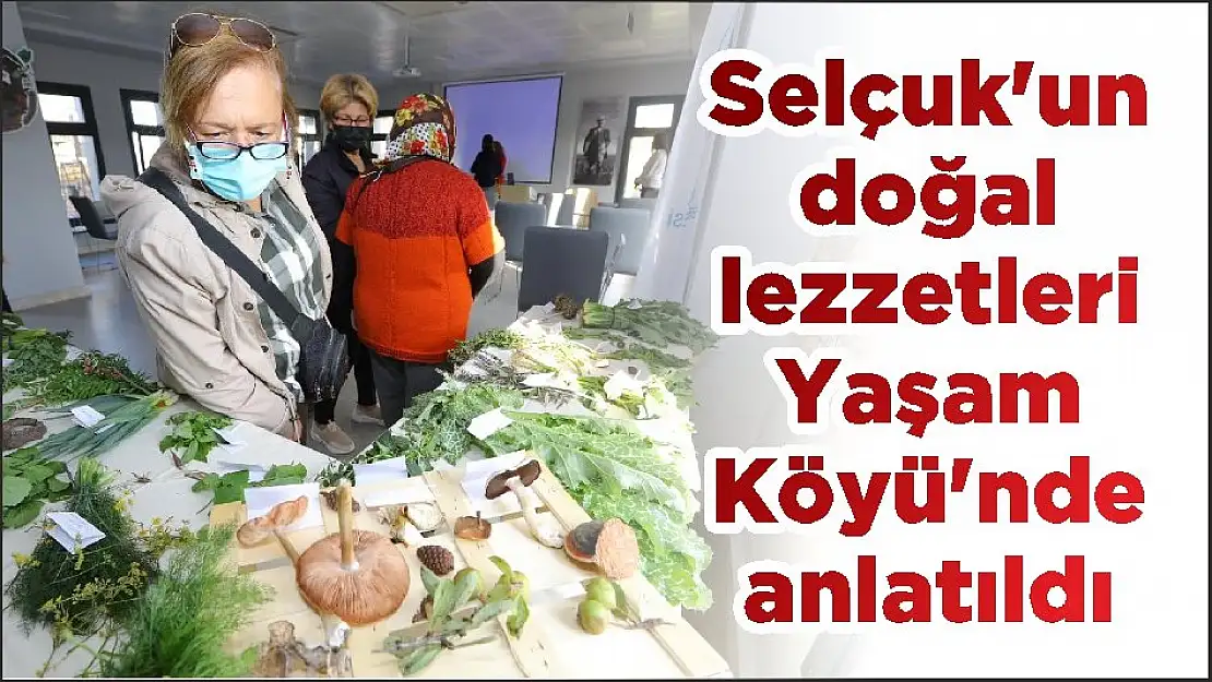Selçuk'un doğal lezzetleri Yaşam Köyü'nde anlatıldı