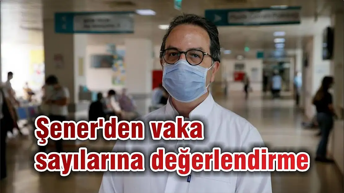 Şener'den vaka sayılarına değerlendirme