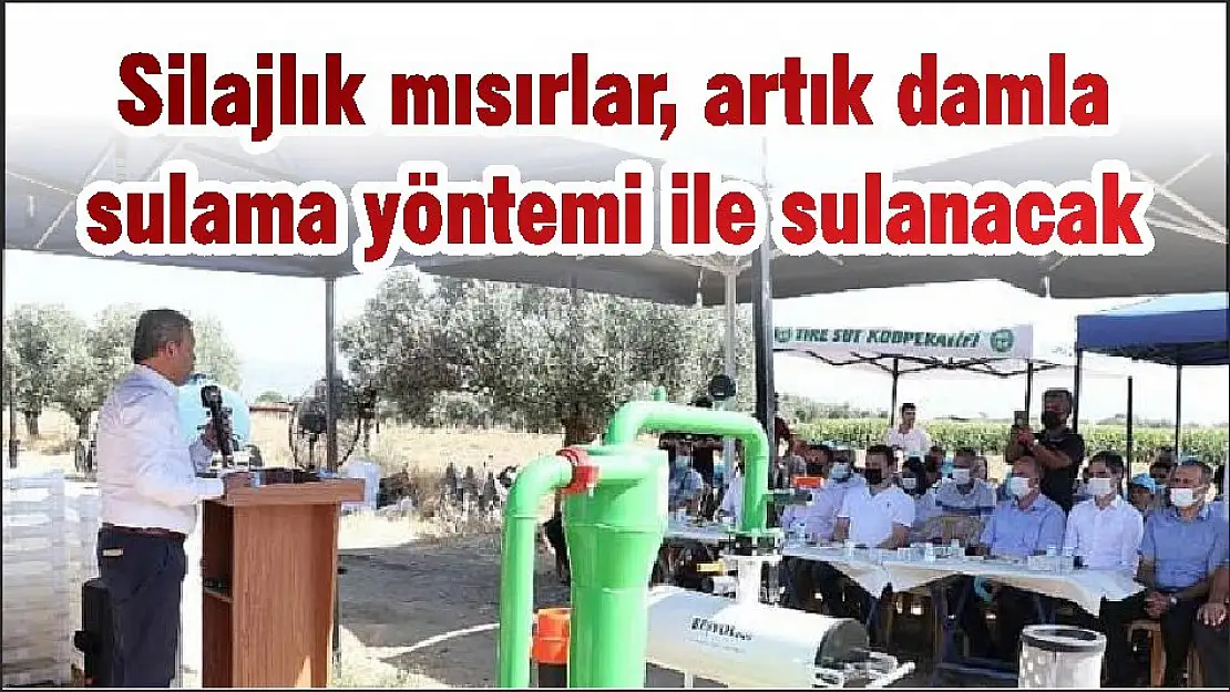 Silajlık mısırlar, artık damla sulama yöntemi ile sulanacak