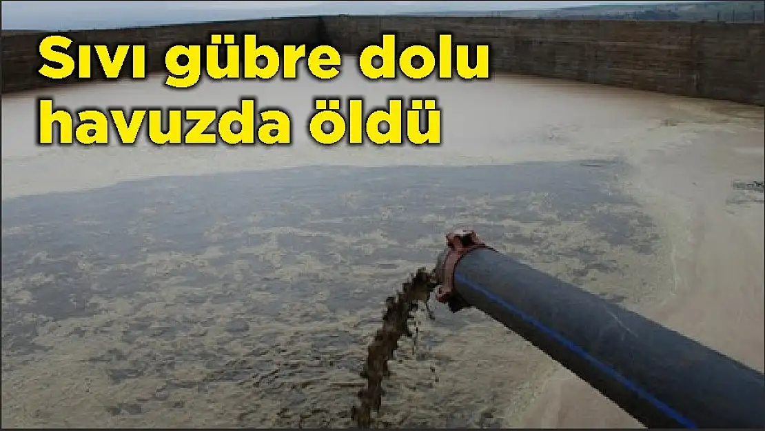 Sıvı gübre dolu havuzda öldü