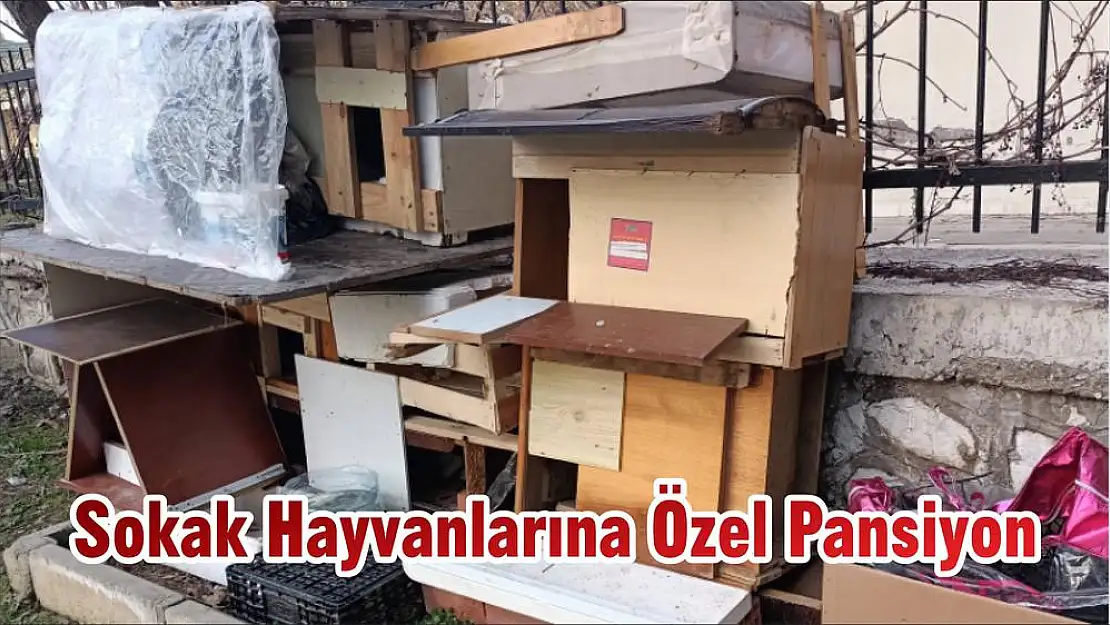Sokak Hayvanlarına Özel Pansiyon