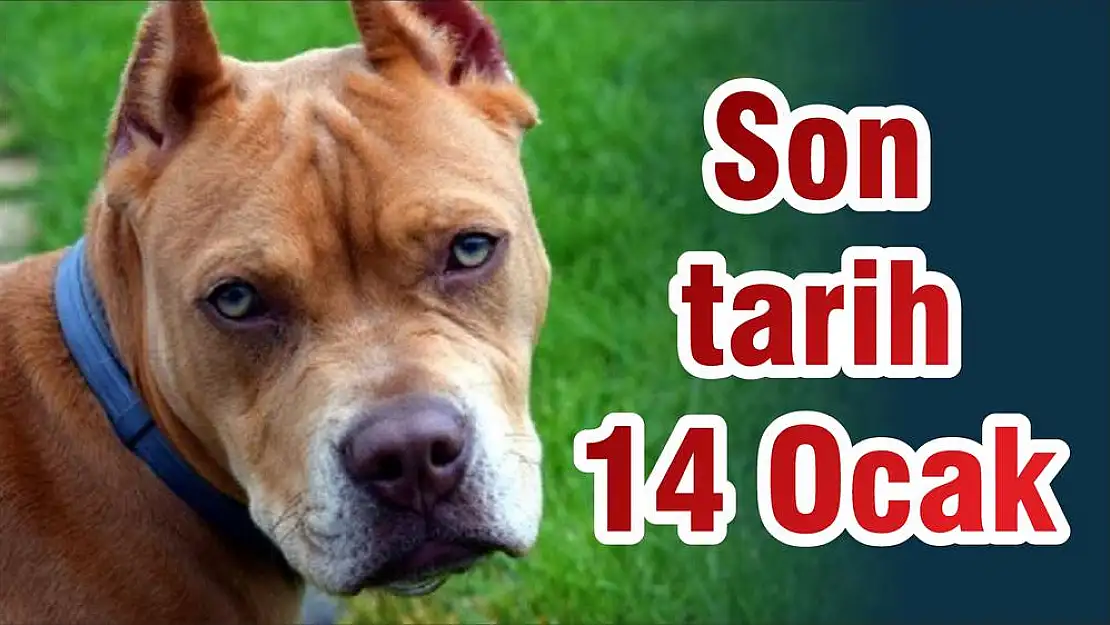 Son tarih 14 Ocak
