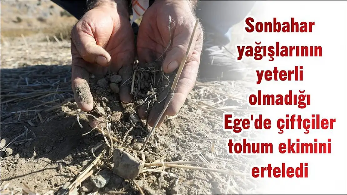 Sonbahar yağışlarının yeterli olmadığı Ege’de çiftçiler tohum ekimini erteledi