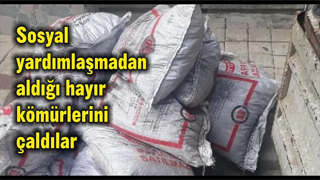 Sosyal yardımlaşmadan aldığı hayır kömürlerini çaldılar