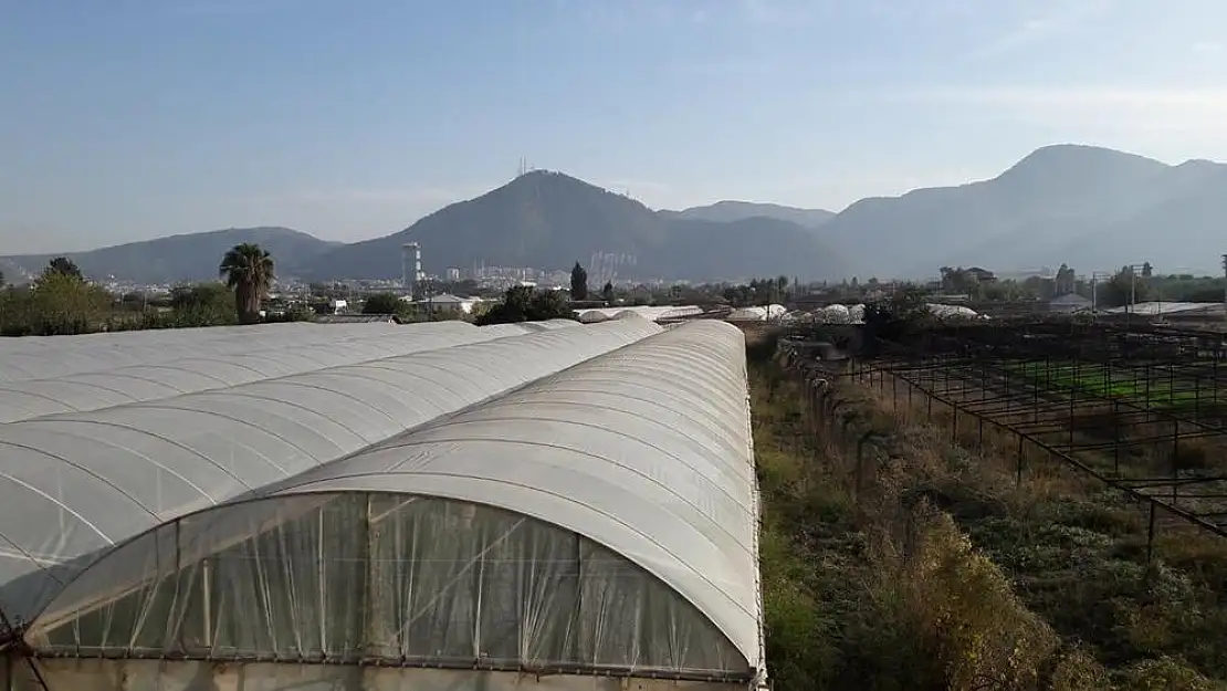 Tarım ve Orman Bakanlığı’nın ‘İnciraltı’ kararına Ziraat Mühendisleri Odası dava açtı