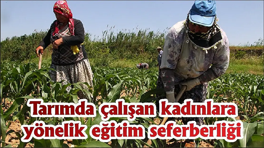 Tarımda çalışan kadınlara yönelik eğitim seferberliği