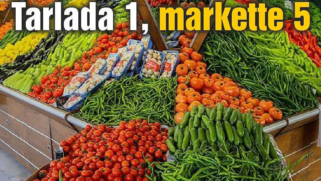Tarlada 1, markette 5