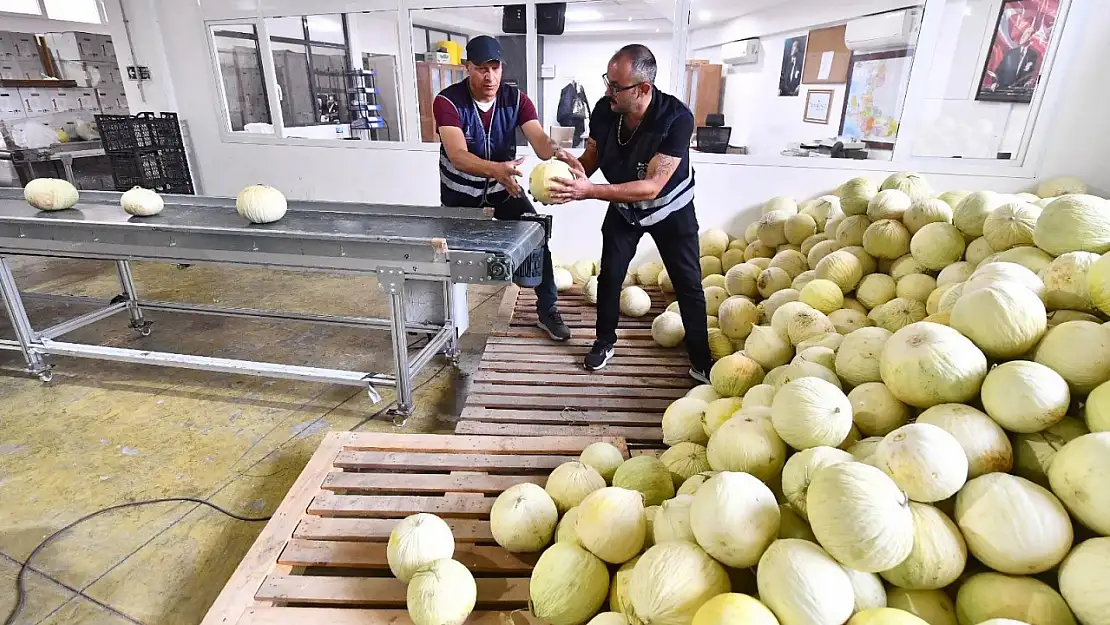 Tarlada Kalan 300 Ton Kavun Vatandaşa Dağıtıldı