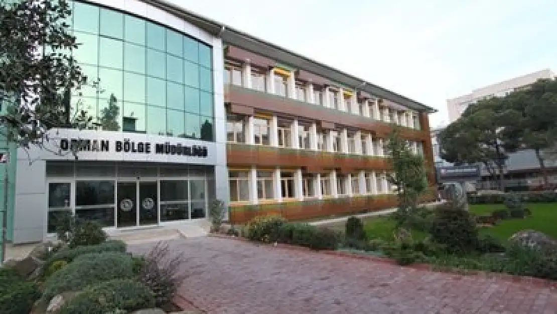 TASNİF VE DEPOLAMA DANIŞMANLIK HİZMETİ ALIMI