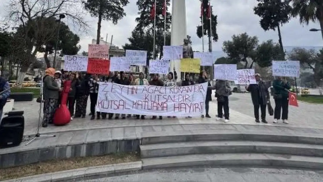 Tire-Belevi yolunda kamulaştırma nedeniyle ağaç kıyımına köylülerden tepki... 'Zeytinlerimize dokunmayın'