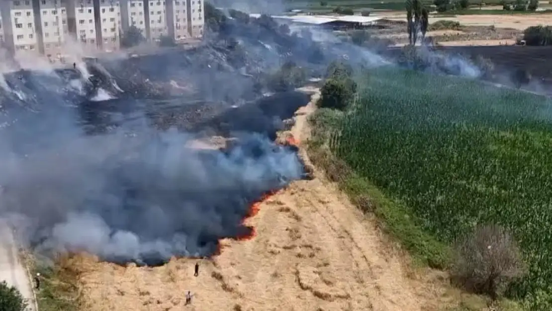 Tire'de TOKİ Bölgesinde Korkutan Yangın: Alevler Geniş Alana Yayıldı