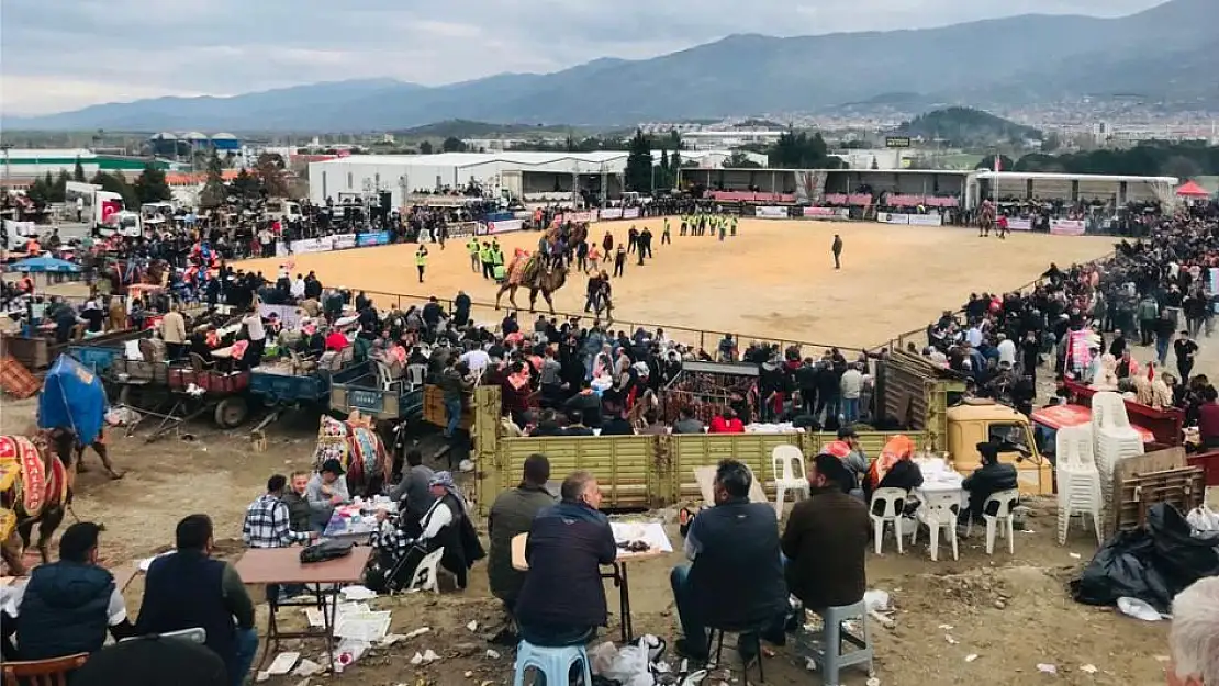 Tire Deve güreşleri Taştepe denen mevkiide 22 Ocak 2023 Pazar günü yoğun izleyici katılımı ile gerçekleşti