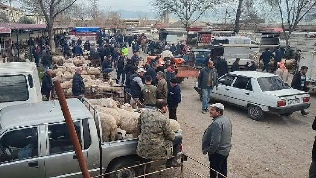 Tire Hayvan Pazarı Geçici Olarak Kapatıldı