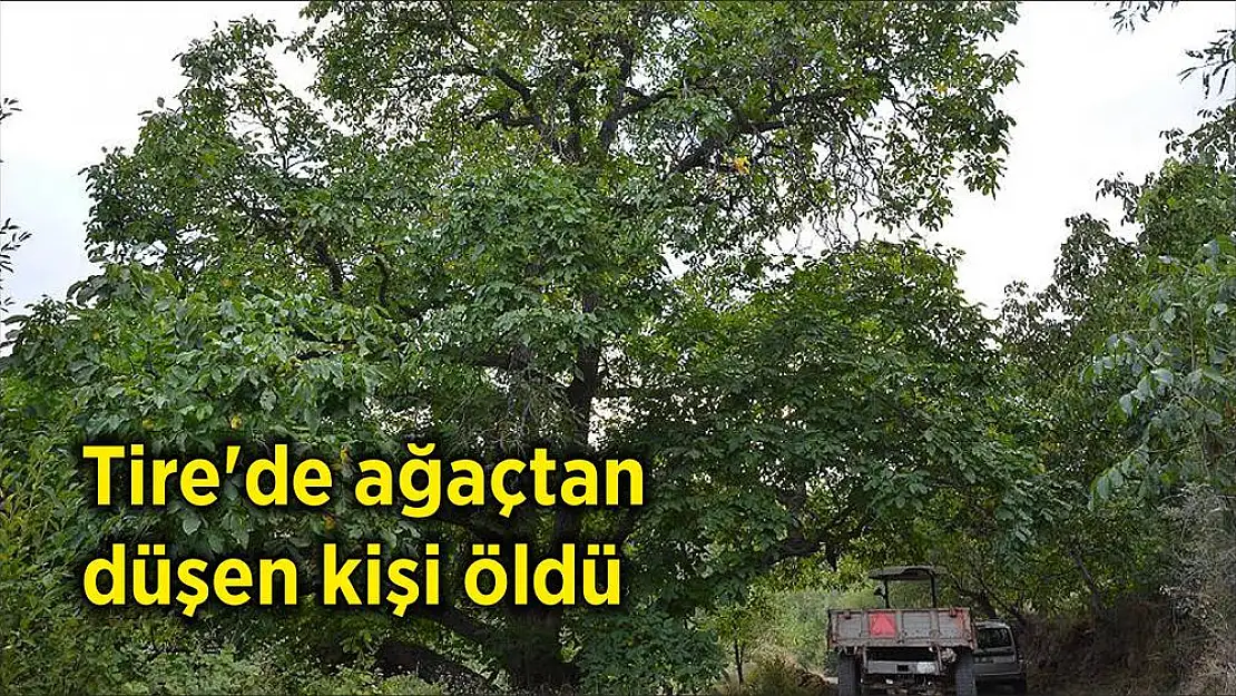 Tire'de ağaçtan düşen kişi öldü