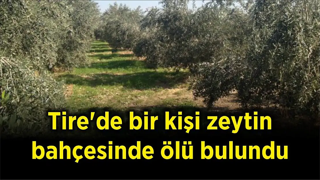 Tire'de bir kişi zeytin bahçesinde ölü bulundu