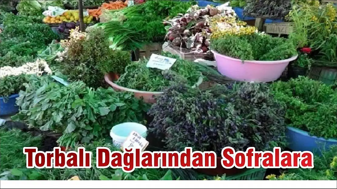 Torbalı Dağlarından Sofralara