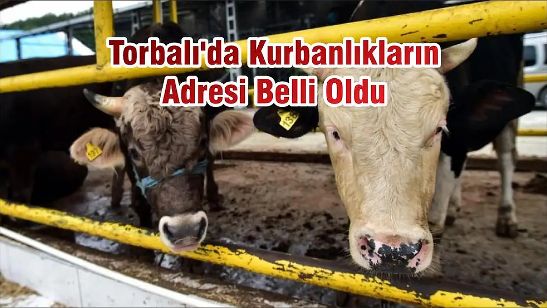 Torbalı'da Kurbanlıkların Adresi Belli Oldu