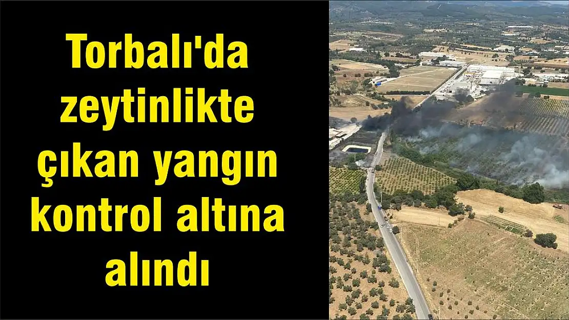 Torbalı'da zeytinlikte çıkan yangın kontrol altına alındı