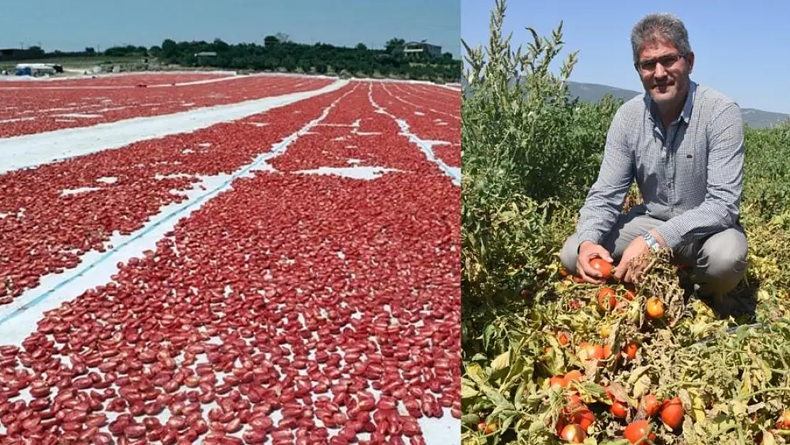 Torbalılı üretici zarar etti