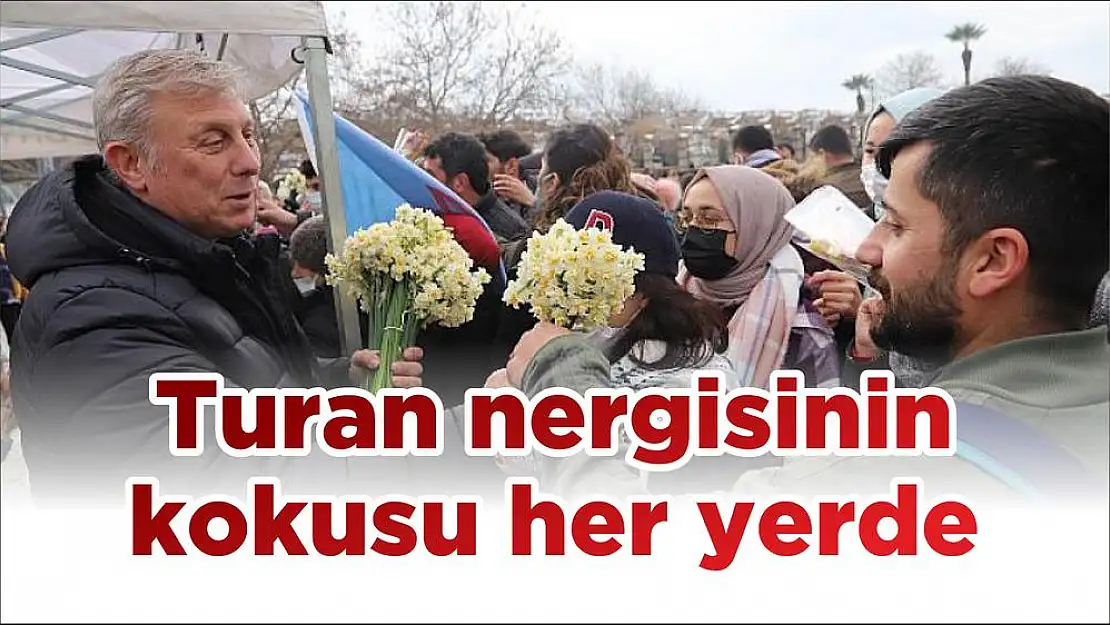 Turan nergisinin kokusu her yerde