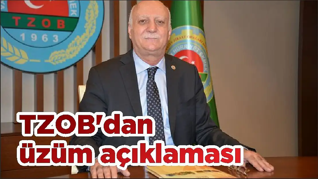 TZOB'dan üzüm açıklaması