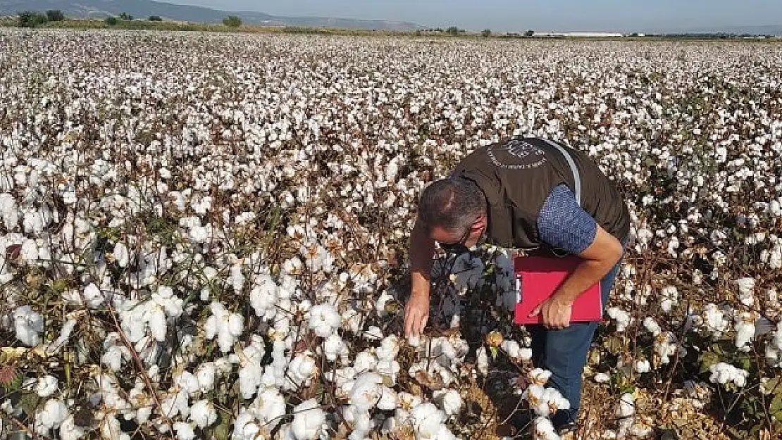 Umutlar pamuk ipliğine bağlı