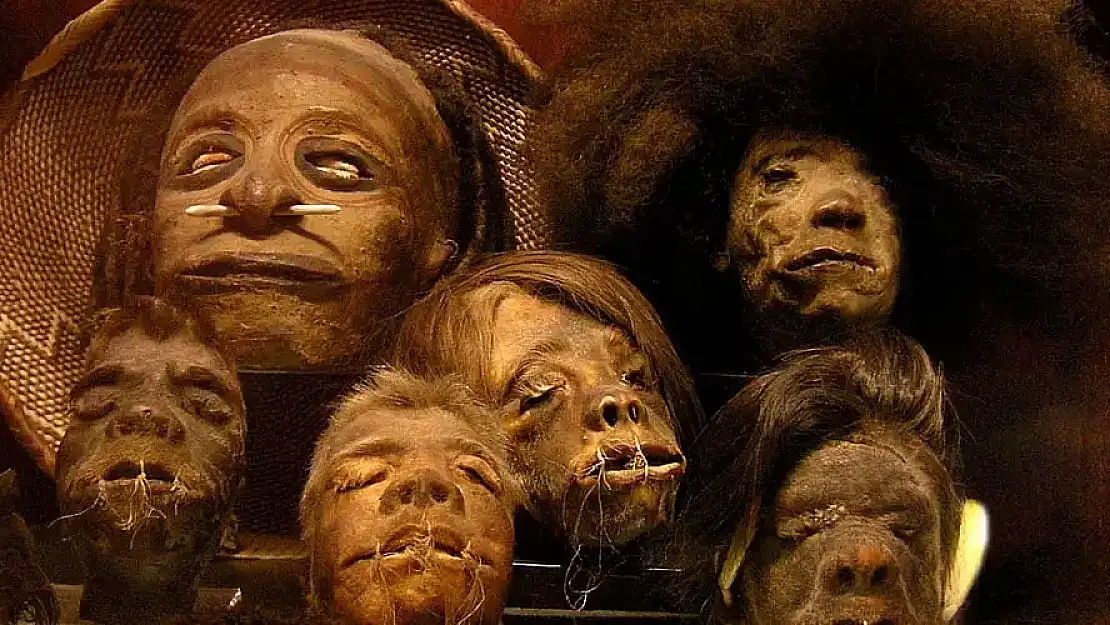 Ürkütücü bir gelenek olan Shrunken Head nedir?