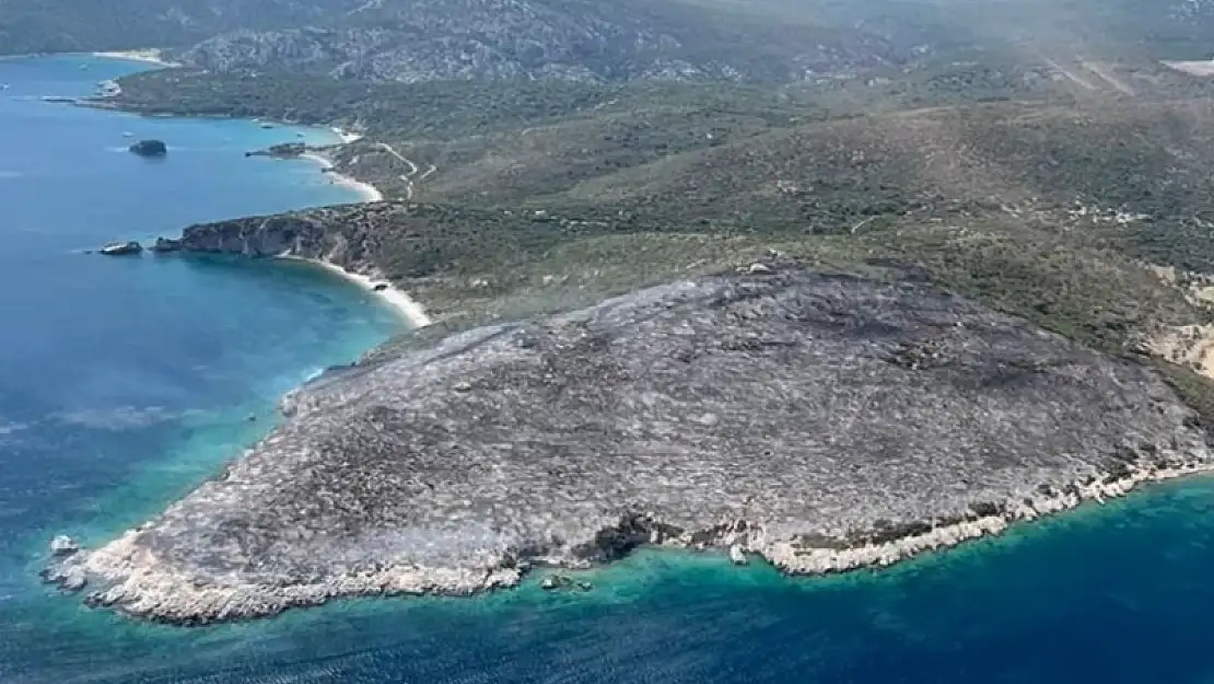 Urla’da çıkan yangın kontrol altında