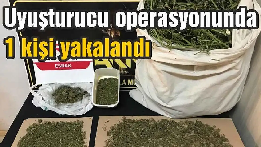 Uyuşturucu operasyonunda 1 kişi yakalandı