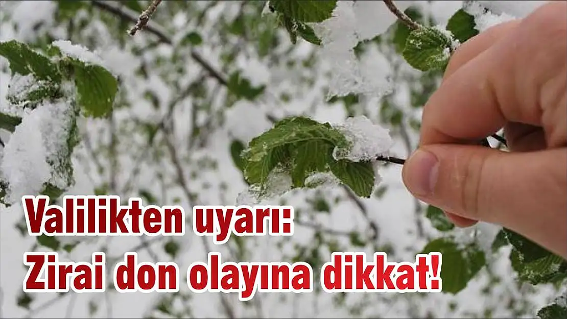 Valilikten uyarı: Zirai don olayına dikkat!