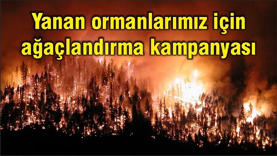 Yanan ormanlarımız için ağaçlandırma kampanyası