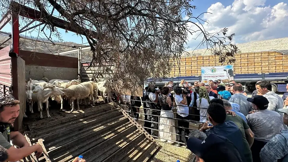 Yangın Bölgesine Destek Eli: Üreticiye Hayvan ve Kovan Desteği