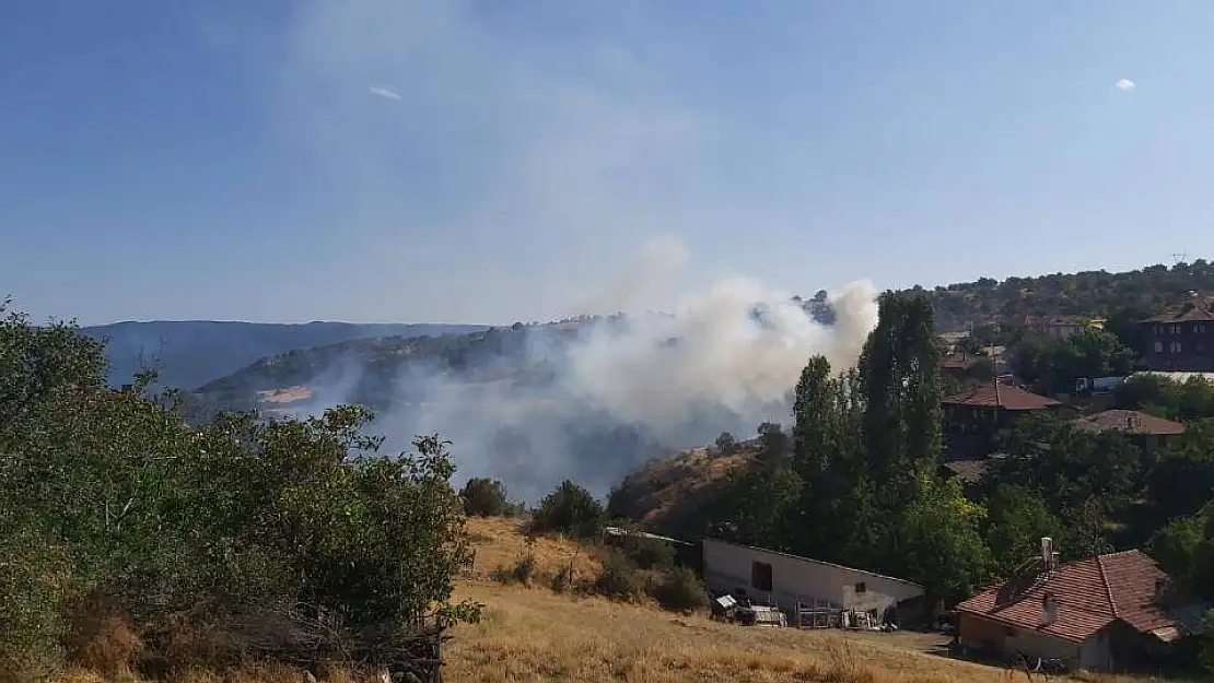 Yangınlarda sabotaj şüphesi