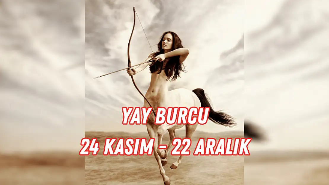 Yay Burcu (24 Kasım-22 Aralık)