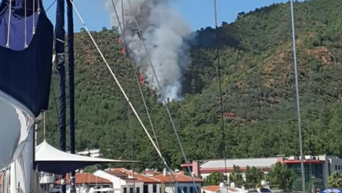 Yaz geldi, orman yangınları başladı. Marmaris’de korkutan yangın